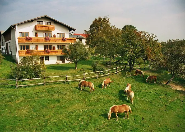 Biobauernhof Wolf-Hof