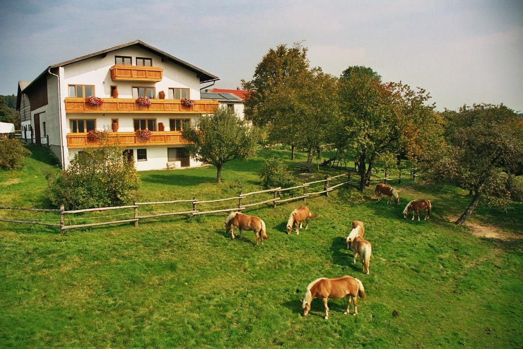 Biobauernhof Wolf-Hof Apartment
